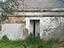 Immagine 11