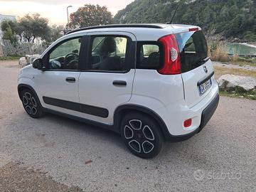 Fiat panda 1.0 hybrid city life
