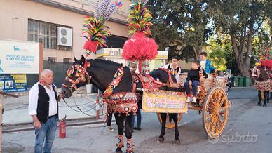 Cavallo e carretto siciliano dipinto Ducato