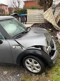 MINI RAY 1.4 INCIDENTATA