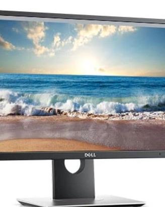 monitor 23 pollici dell P 2317H