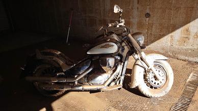 Suzuki VL Intruder 800 - 2012 alluvionata
