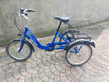 Bicicletta elettrica 3 ruote