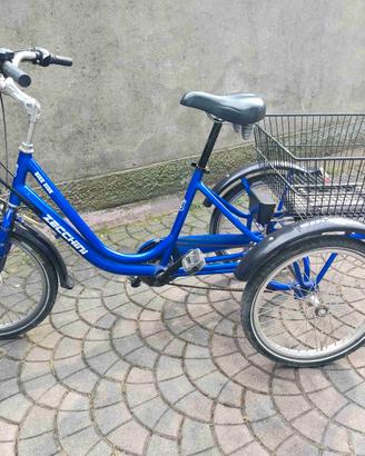 Bicicletta elettrica 3 ruote