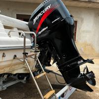 Mercury 115 hp iniezione 4 tempi