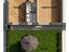 Immagine 21