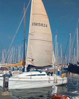 Soleri 26 1/2 Race - 8 m - Honda 2,3 CV Nuovo