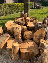 Legno di pino marittimo da desing