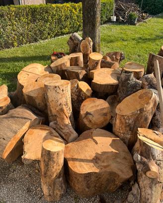 Legno di pino marittimo da desing