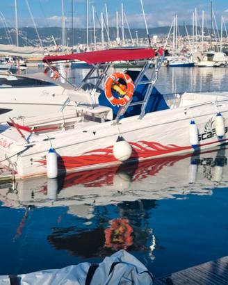 SCARAB 302 Sport