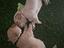 Immagine 3