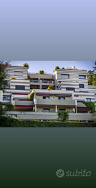 Monolocale da privato a villa olmo