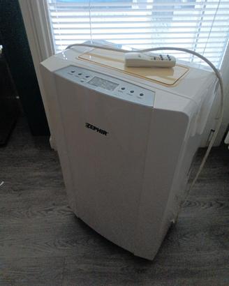 Climatizzatore portatile GUASTO