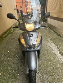 Sh300 honda