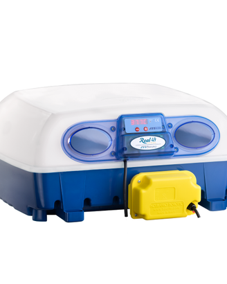 Incubatrice REAL 49 AUTOMATICA BOROTTO 🔝