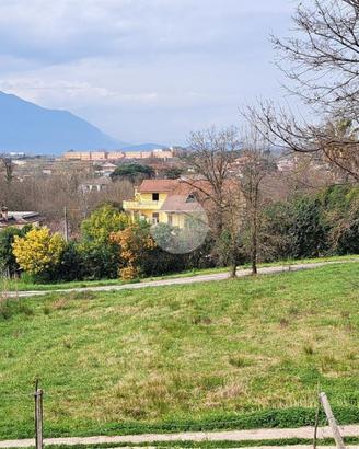 TER. AGRICOLO A FROSINONE