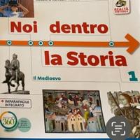 Noi dentro la storia . Libro di storia
