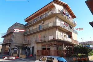 RGE 81/2015 Trib ENNA