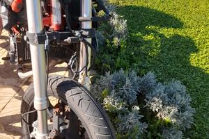 moto benelli 125