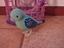 Immagine 2