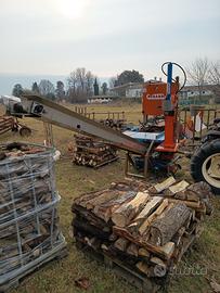 spaccalegna - nastro trasportatore - sega nastro 