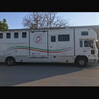 Van trasporto 7/8 cavalli
