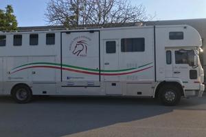 Van trasporto 7/8 cavalli