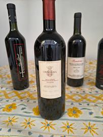 bottiglia vini do alta qualità 