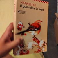 Il buio oltre la siepe 