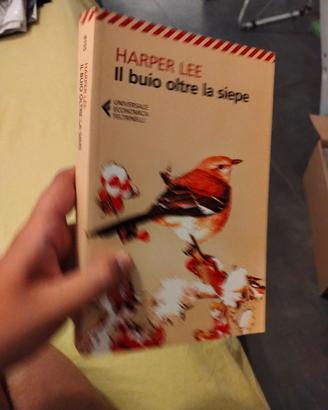 Il buio oltre la siepe 