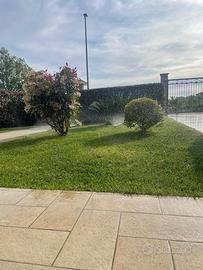 Villetta Vena di Ionadi