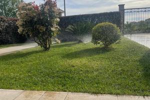 Villetta Vena di Ionadi
