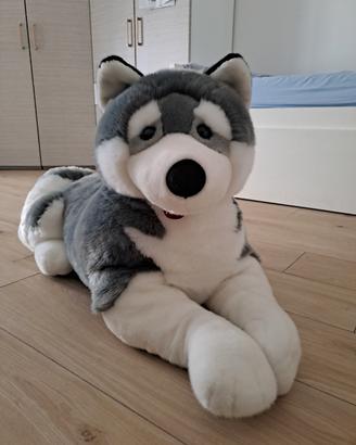 Peluche Trudi Husky Gigante XXL 120cm come nuovo