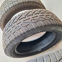gomme auto 225/55 R 17