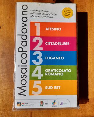 Mosaico padovano