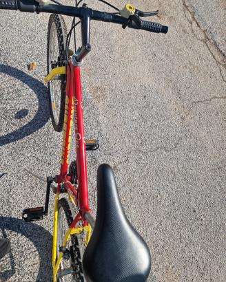 MTB Shimano da 26"