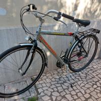 Bici da passeggio Jumpertrek 28" X hascott
