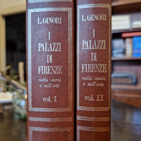 I palazzi di Firenze nella storia dell'arte