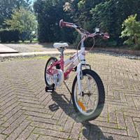 Bicicletta da Bambina 