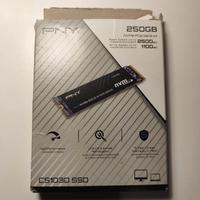 ssd nvme pny 250gb