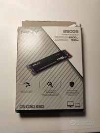 ssd nvme pny 250gb