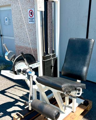 Leg Extension Rehab Technogym Lux