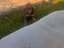 Immagine 3