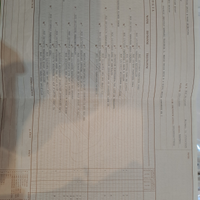 Cucciolo Siberian Huschy