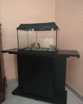Acquario 