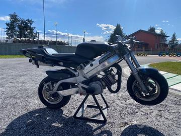 FLOTTA DI DODICI MINIMOTO DA NOLEGGIO