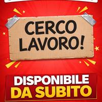 Banconista (ma anche altri lavori)