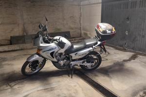 Transalp 650 FMI 