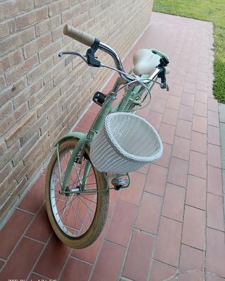 Bicicletta bambina Alpina Olanda