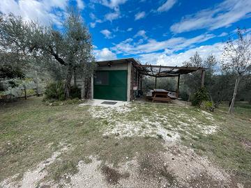 Azienda Agricola in Sabina - centro aziendale